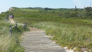 The very scenic, and very long walk down to the beach.